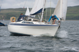 trasnagh 333 whyw17 thur gjmc 8661